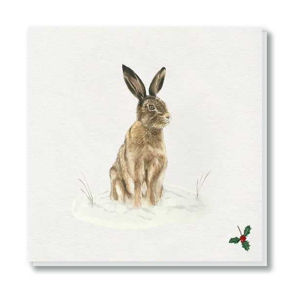 Hare Christmas Card