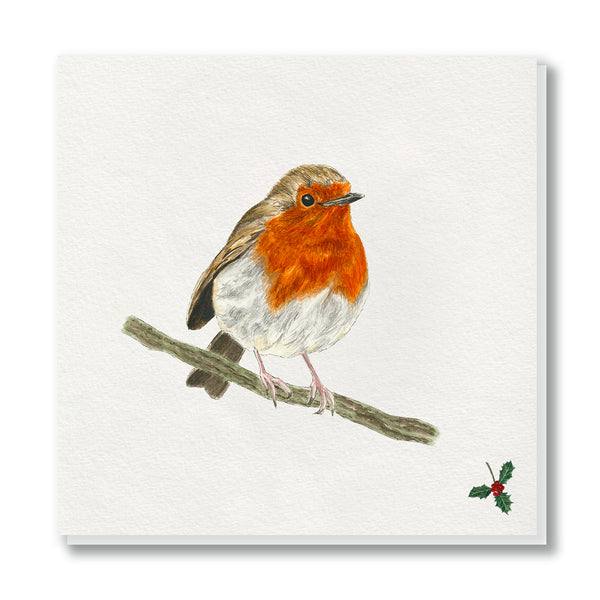 Robin Christmas Card