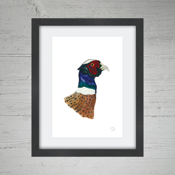 Pheasant - Fine Art Print