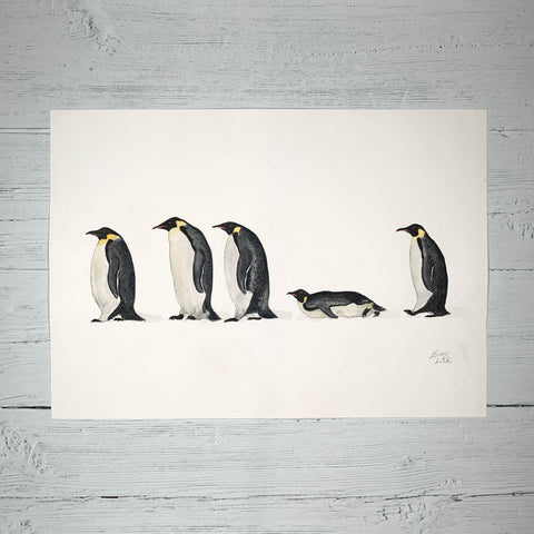 Penguin Line Up - Original (1 of 1)