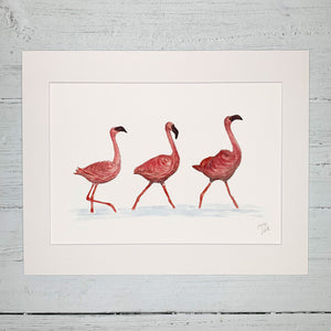 Flamingos - Fine Art Print