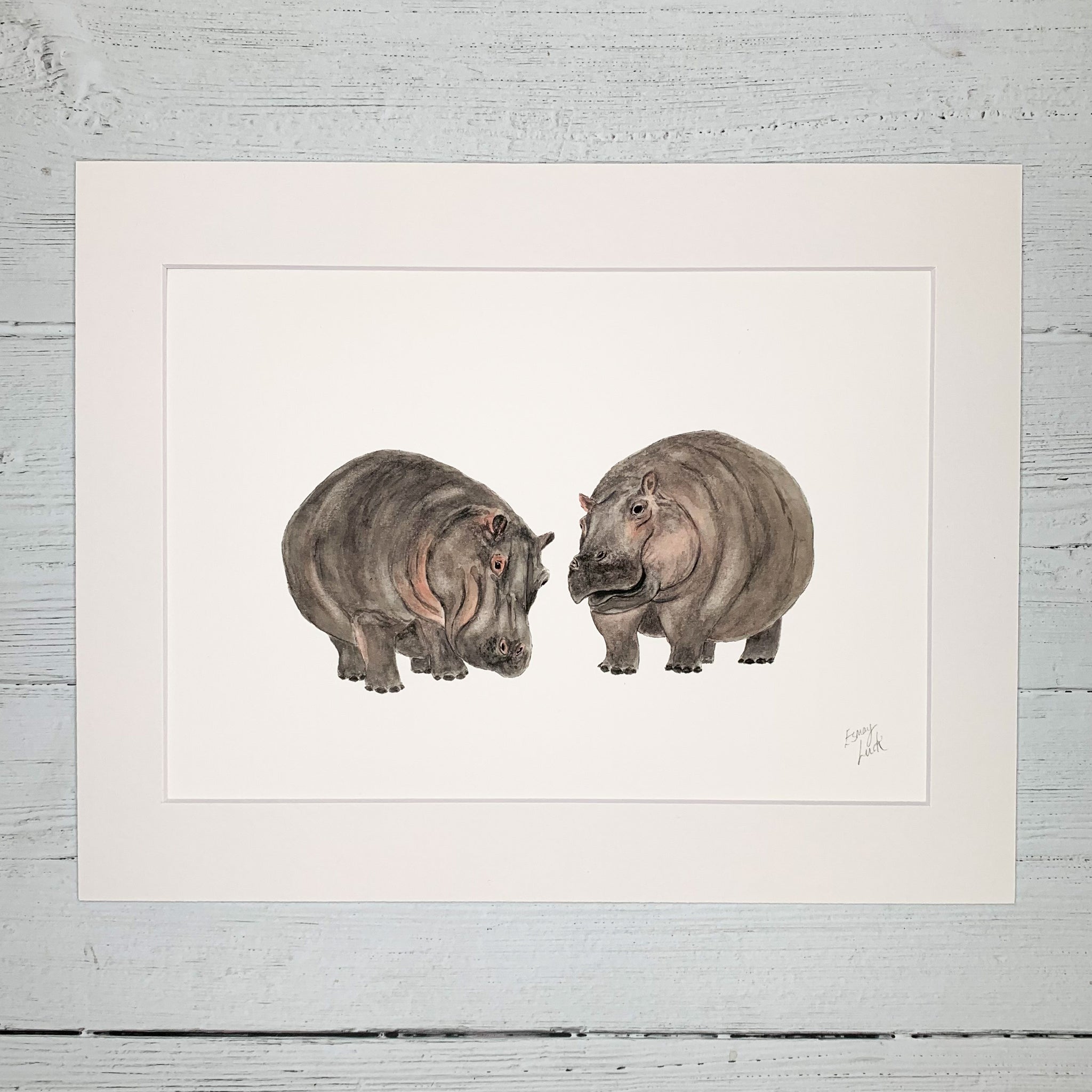 Hippos - Fine Art Print