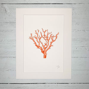 Coral - Fine Art Print