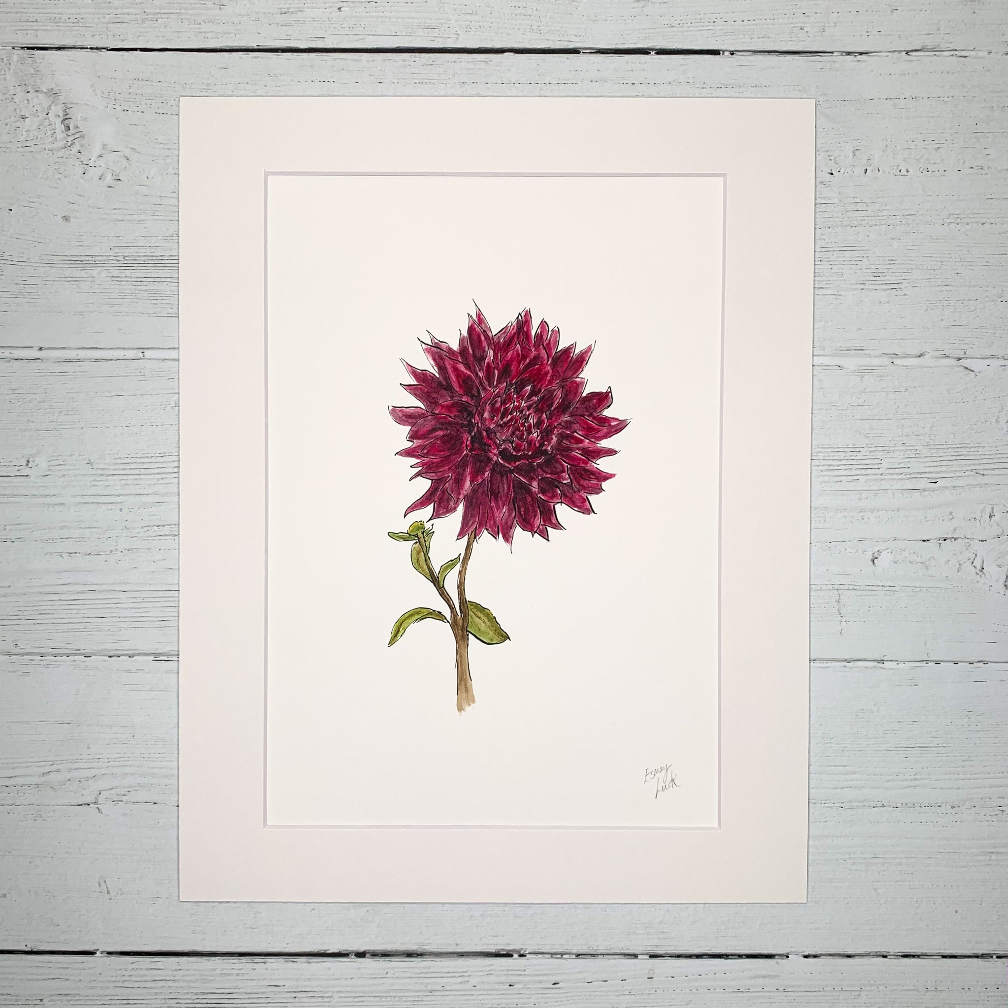Dahlia Flower - Fine Art Print