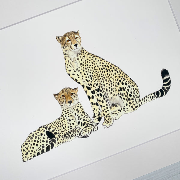 Cheetahs - Fine Art Print