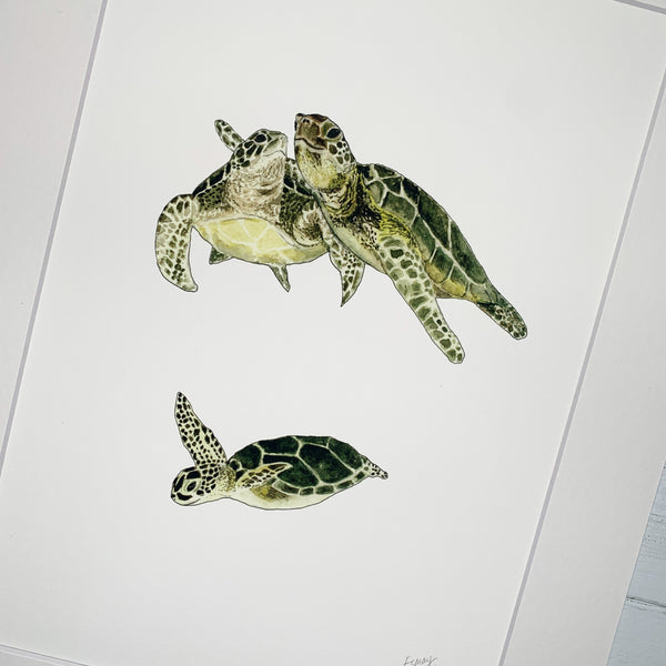 Turtle Family  - Fine Art Print