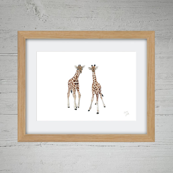Baby Giraffes - Fine Art Print