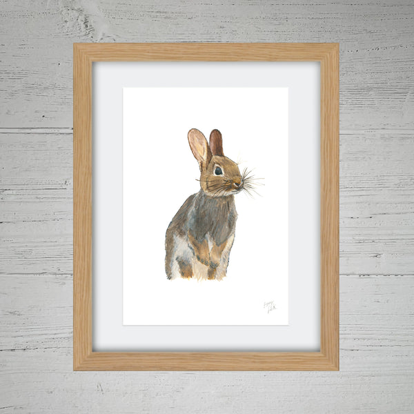 Rabbit - Fine Art Print