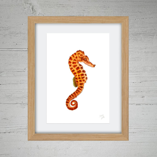Orange Seahorse - Fine Art Print