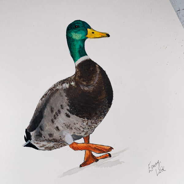 Duck - Original (1 of 1)