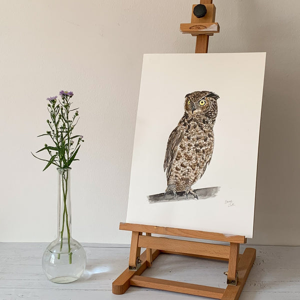 Owl - Original (1 of 1)