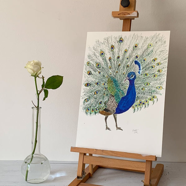 Peacock - Original (1 of 1)