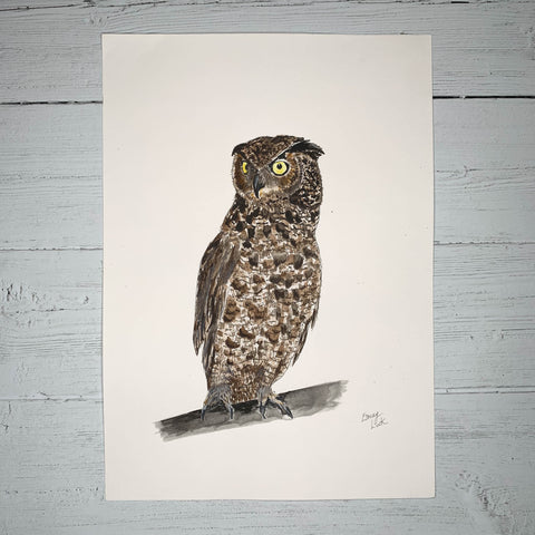 Owl - Original (1 of 1)