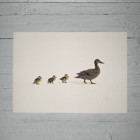 Mother & Baby Ducklings - Original (1 of 1)