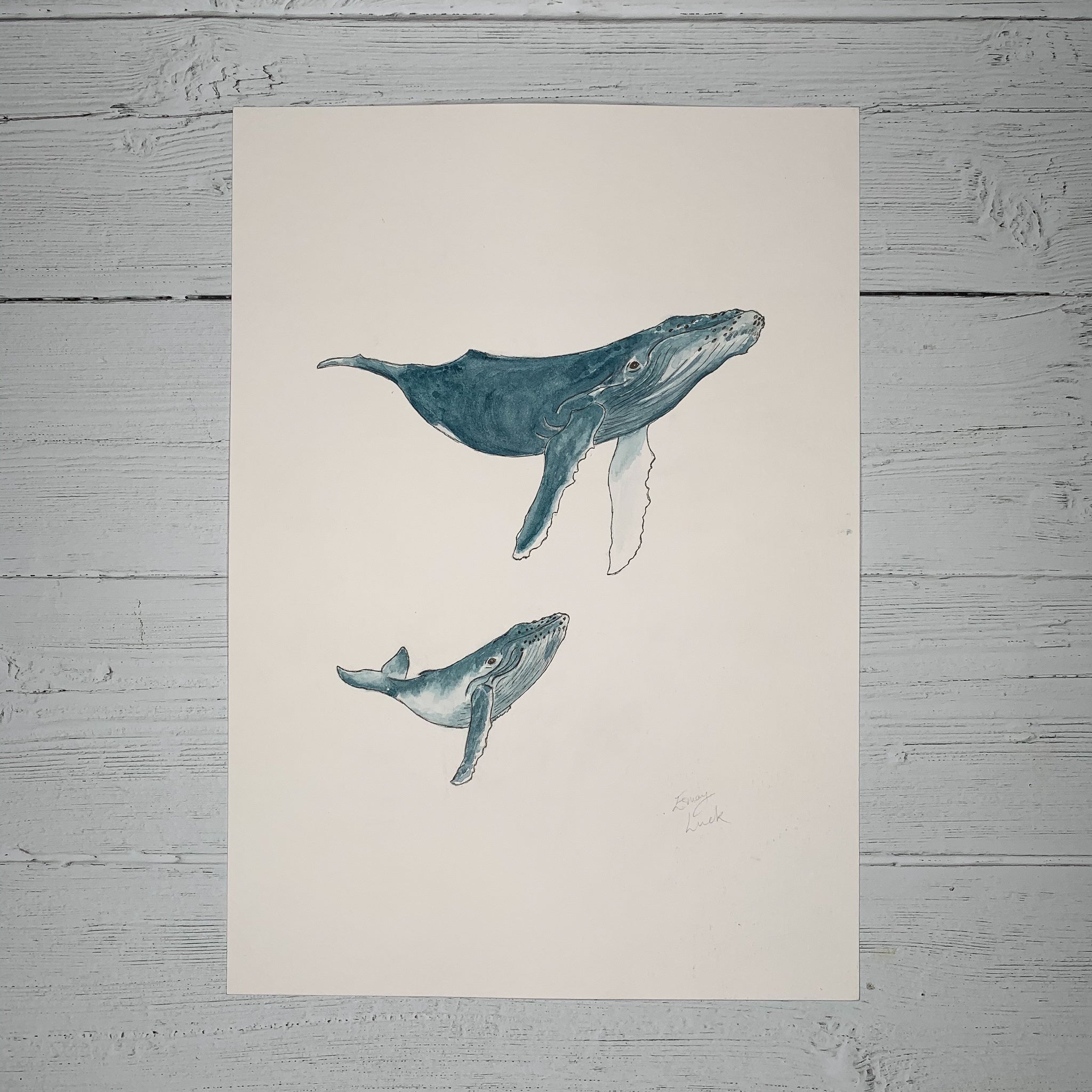 Mother & Baby Humpback Whales - Original (1 of 1)
