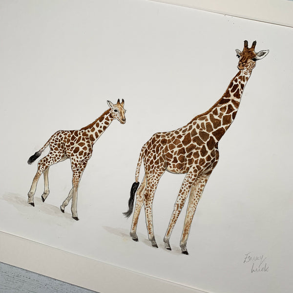 Big Giraffe & Baby Giraffe - Original (1 of 1)