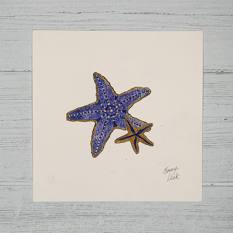 Starfish - Original (1 of 1)