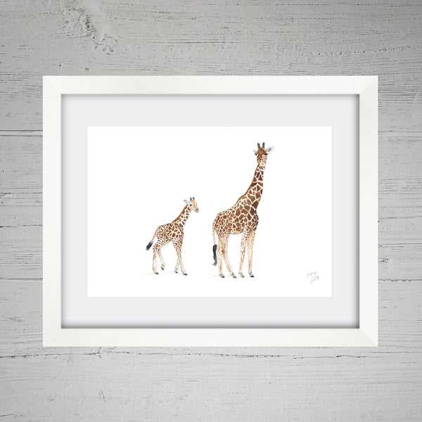 Big Giraffe & Baby Giraffe - Fine Art Print