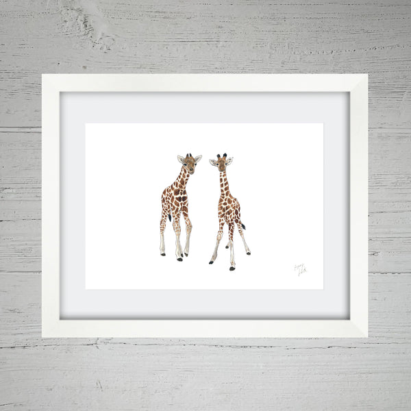 Baby Giraffes - Fine Art Print