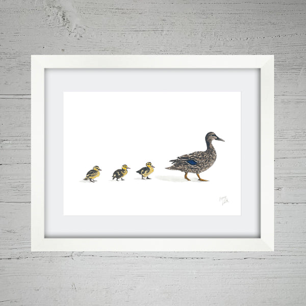 Mother & Baby Ducklings - Fine Art Print