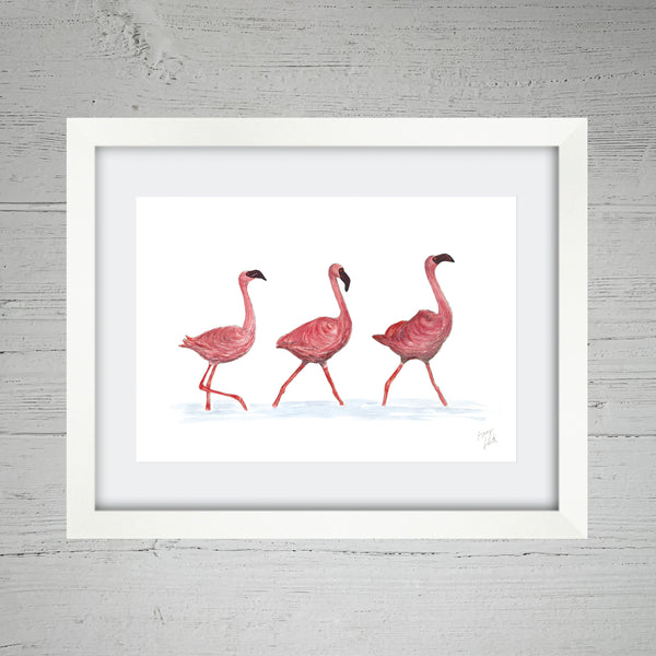 Flamingos - Fine Art Print